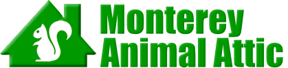 Monterey Animal Attic